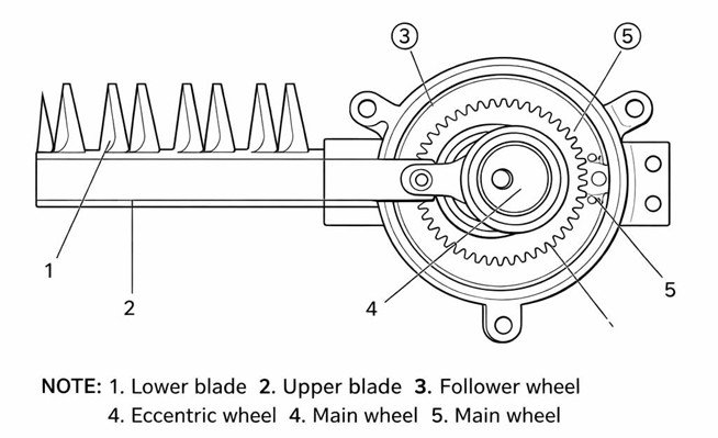 Gear & Eccentric Crank Assembly/ Camshaft Gear Assembly